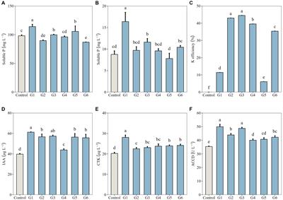 Mild to moderate drought stress reinforces the role of functional microbiome in promoting growth of a dominant forage species (Neopallasia pectinata) in desert steppe